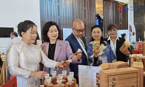 "Chắp cánh" cho nông sản Quảng Ninh vươn xa
