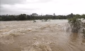 Đã tìm thấy thi thể bé gái bị lũ cuốn trôi do vỡ hồ chứa ở Lâm Đồng