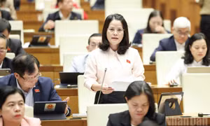 Ưu đãi và hỗ trợ đầu tư phải gắn với cam kết và hiệu quả thực hiện
