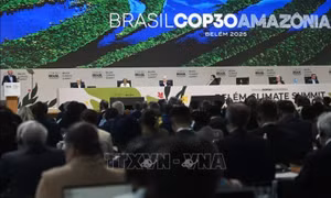 COP30: Hơn 30 nước phản đối văn kiện dự thảo vì thiếu lộ trình loại bỏ nhiên liệu hóa thạch 