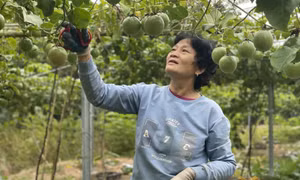 Khẳng định vai trò nòng cốt trong thời kỳ mới