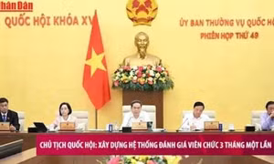Đại biểu Quốc hội đề xuất viên chức thôi việc do sắp xếp tổ chức được hưởng trợ cấp 1 lần tối thiểu 12 tháng lương
