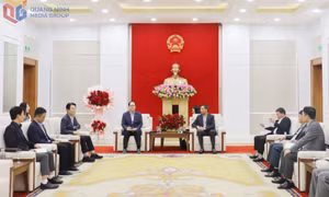 Phó Chủ tịch Thường trực UBND tỉnh làm việc với Kocham và các hãng hàng không Hàn Quốc