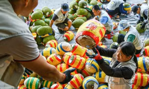 Ký nghị định thư xuất khẩu mít tươi sang Trung Quốc