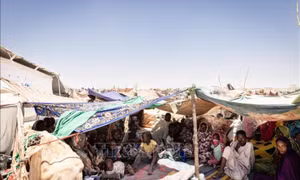 Hơn 36.000 người ở Sudan phải sơ tán do xung đột lan sang khu vực miền Trung