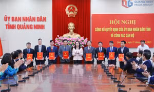 Bản tin Quảng Ninh ngày 15/11/2025