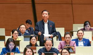Bảo đảm hài hòa yêu cầu phòng ngừa tội phạm, tôn trọng và bảo vệ quyền con người