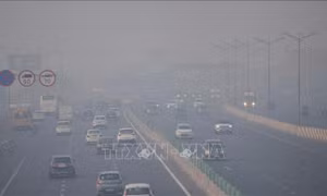 Thủ đô Ấn Độ chìm trong khói độc, chuyên gia cảnh báo rời thành phố