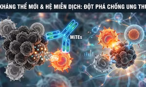 Kháng thể mới giúp hệ miễn dịch chống lại ung thư hiệu quả hơn