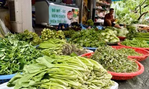 Bộ Công Thương: Nguồn cung rau xanh sẽ sớm ổn định