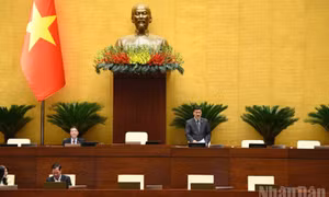 Hoàn thiện hệ thống pháp luật về quy hoạch đô thị và nông thôn phù hợp chính quyền địa phương 2 cấp