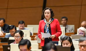 Đề xuất trao quyền mạnh hơn cho các Văn phòng Thi hành án dân sự