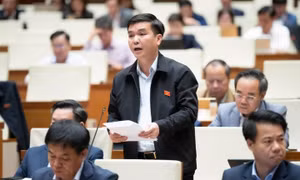 Giám sát chặt chẽ hoạt động kinh doanh bảo hiểm qua ngân hàng