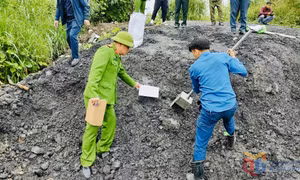 Xác minh, xử lý hành vi tự ý san gạt đất trái phép