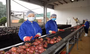 Thúc đẩy xuất khẩu nông sản sang EU