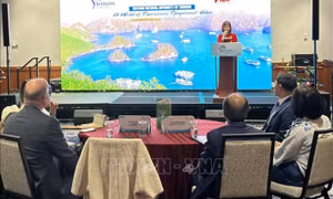 Việt Nam quảng bá du lịch tại Mỹ, mở rộng hợp tác và kết nối doanh nghiệp