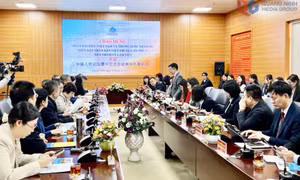 Cơ hội hợp tác về giáo dục giữa Đại học Hạ Long và các trường đại học Trung Quốc
