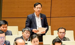 Làm rõ vị trí, vai trò và hiệu quả hoạt động của mô hình đại học vùng