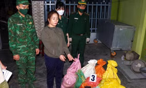 Biên phòng Khánh Hòa triệt phá đường dây vận chuyển gần nửa tấn thuốc nổ liên tỉnh