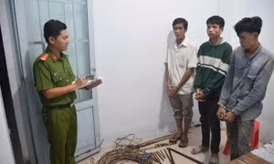 Bắt quả tang 3 đối tượng cắt trộm dây điện lúc rạng sáng