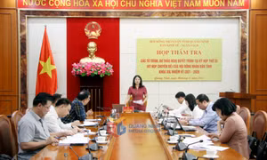 Thẩm tra tờ trình, dự thảo nghị quyết trình Kỳ họp thứ 33 HĐND tỉnh