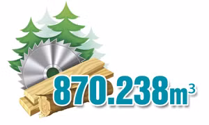 870.238 m³ - là sản lượng lâm sản khai thác bình quân mỗi năm của tỉnh Quảng Ninh giai đoạn 2020-2025
