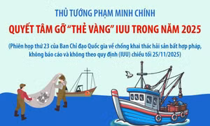 Thủ tướng Phạm Minh Chính: Quyết tâm gỡ “thẻ vàng” IUU trong năm 2025