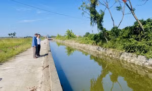 Khơi thông tuyến kênh thoát nước