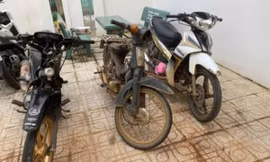 Bắt khẩn cấp kẻ trộm xe, trộm chó và lừa đảo chiếm đoạt tài sản ở Lâm Đồng