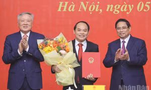 Công bố quyết định của Thủ tướng Chính phủ về công tác cán bộ