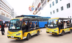 Bản tin vùng Đông Bắc ngày 12/11/2025