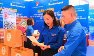 Đồng hành trong khởi nghiệp sáng tạo