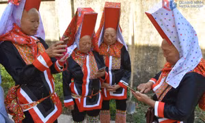 Thúc đẩy chuyển đổi số trong xây dựng nông thôn thông minh, kiểu mẫu