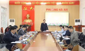 Dự án Khu đô thị phức hợp Hạ Long Xanh: Bàn giao cho chủ đầu tư 80,76% mặt bằng