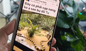 Từ hình ảnh, video đến ca khúc AI: Cẩn trọng 'cơn lốc' nội dung AI trên mạng xã hội