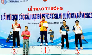 Quảng Ninh giành 7 HCV tại Giải Vô địch các CLB Pencak Silat quốc gia 2025
