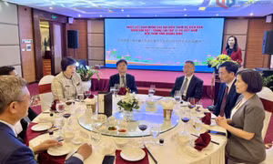  Phó Chủ tịch UBND tỉnh Nguyễn Thị Hạnh tiếp Đoàn đại biểu dự Diễn đàn nhân dân Việt – Trung lần thứ 13 thăm Quảng Ninh