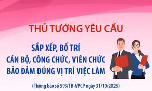 Thủ tướng yêu cầu sắp xếp, bố trí cán bộ, công chức đúng vị trí việc làm