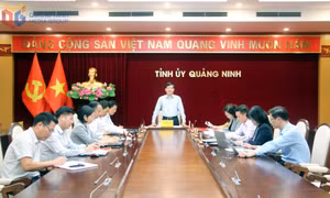 Xây dựng tổ chức cơ sở đảng trong sạch, vững mạnh toàn diện