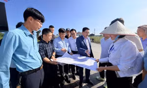 Đảm bảo khởi công dự án Nhà máy điện khí LNG Quảng Ninh trong tháng 12/2025