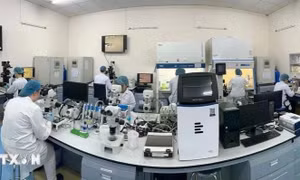 Nghị quyết 57: Cụ thể hóa chính sách để thu hút nguồn nhân lực chất lượng cao