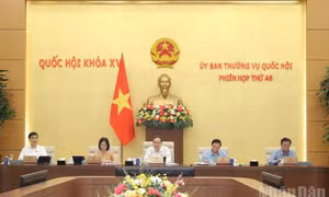 Miễn thuế thu nhập với nhân lực công nghiệp công nghệ số chất lượng cao
