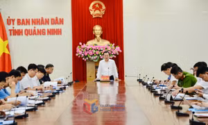 54 chủ tịch xã, phường, đặc khu phải tham gia vào Ban Chỉ đạo 389 tỉnh