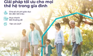 Bảo hiểm bắt buộc xe ô tô mua ở đâu? Giải pháp từ OPES