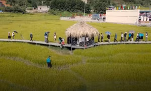 Gắn du lịch cộng đồng với xây dựng nông thôn mới