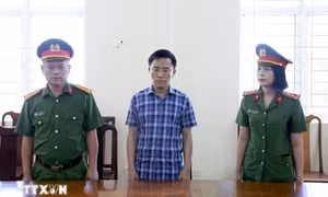 Hà Tĩnh: Khởi tố cựu Chủ tịch UBND xã để hỏng hơn 260 tấn ximăng