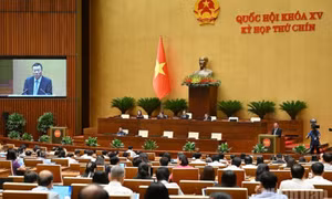 Hệ thống cơ quan thanh tra được tổ chức theo 2 cấp