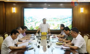 Họp Thường trực Ban Chỉ đạo phòng, chống tham nhũng, lãng phí, tiêu cực tỉnh