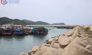 Gấp rút đầu tư, nâng cấp các khu neo đậu tránh trú bão cho tàu cá
