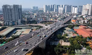 Quyết tâm hoàn thành tiến độ sắp xếp tổ chức bộ máy